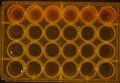 Thumbnail for version as of 16:00, 13 April 2016