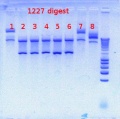 Thumbnail for version as of 14:51, 18 July 2012
