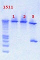 Thumbnail for version as of 17:21, 14 December 2012
