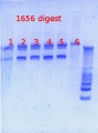 Thumbnail for version as of 12:39, 7 February 2013