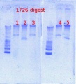 Thumbnail for version as of 11:34, 8 April 2013