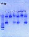 Thumbnail for version as of 14:38, 19 April 2013