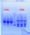 Thumbnail for version as of 13:43, 26 December 2013