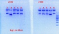 Thumbnail for version as of 15:49, 10 February 2014