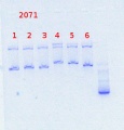 Thumbnail for version as of 12:54, 6 February 2014