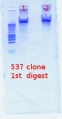 Thumbnail for version as of 15:39, 16 April 2012