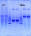 Thumbnail for version as of 14:07, 16 May 2013