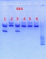 Thumbnail for version as of 13:23, 9 September 2013