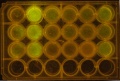 Thumbnail for version as of 11:27, 22 October 2014