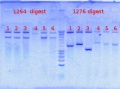 Thumbnail for version as of 15:17, 20 August 2012