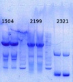 Thumbnail for version as of 13:48, 24 September 2014