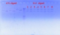 Thumbnail for version as of 10:16, 3 January 2012