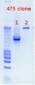 Thumbnail for version as of 16:35, 29 November 2011