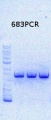 Thumbnail for version as of 16:01, 25 October 2013
