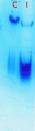 Thumbnail for version as of 19:34, 18 June 2013