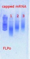 Thumbnail for version as of 14:44, 5 March 2013