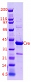 Thumbnail for version as of 16:16, 16 November 2011