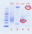 Thumbnail for version as of 10:23, 7 June 2012