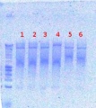 Thumbnail for version as of 14:42, 9 August 2012