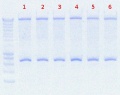 Thumbnail for version as of 14:51, 15 August 2012