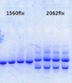 Thumbnail for version as of 12:37, 10 March 2014