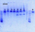 Thumbnail for version as of 10:43, 27 January 2014