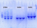 Thumbnail for version as of 17:11, 13 January 2015