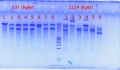 Thumbnail for version as of 15:09, 16 July 2012