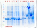 Thumbnail for version as of 09:39, 12 July 2019