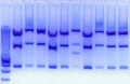 Thumbnail for version as of 16:07, 25 March 2011