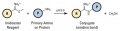 Thumbnail for version as of 16:13, 17 June 2014