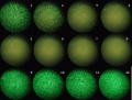 Thumbnail for version as of 18:43, 15 November 2011