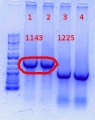 Thumbnail for version as of 12:08, 8 June 2012