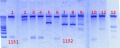 Thumbnail for version as of 12:56, 21 June 2012