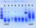 Thumbnail for version as of 12:19, 20 June 2012