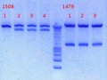 Thumbnail for version as of 11:42, 12 December 2012