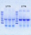 Thumbnail for version as of 16:45, 3 July 2013