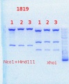 Thumbnail for version as of 10:53, 21 August 2013