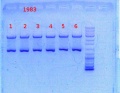 Thumbnail for version as of 13:43, 26 December 2013