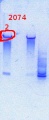 Thumbnail for version as of 15:01, 21 February 2014