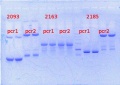 Thumbnail for version as of 14:23, 30 April 2014