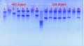 Thumbnail for version as of 15:26, 6 January 2012