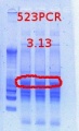 Thumbnail for version as of 13:11, 14 March 2012