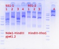Thumbnail for version as of 16:28, 21 December 2017