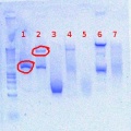 Thumbnail for version as of 14:10, 10 August 2012