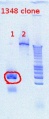 Thumbnail for version as of 13:39, 17 September 2012