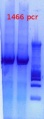 Thumbnail for version as of 14:19, 15 January 2013