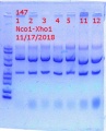 Thumbnail for version as of 00:12, 18 November 2018