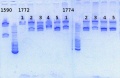 Thumbnail for version as of 13:40, 12 July 2013