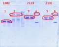 Thumbnail for version as of 15:44, 21 March 2014